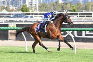 PORTER'S ALL GAS NO BRAKES